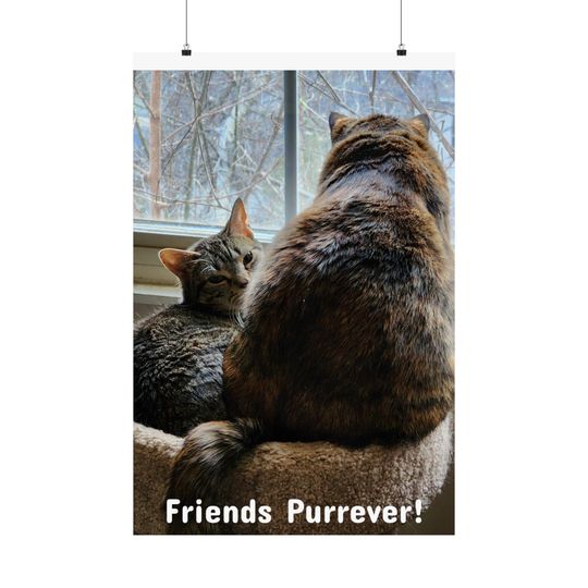 Discover Chubby Kittens Premium Matte Vertical Poster