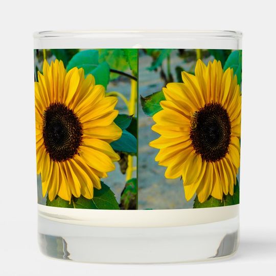 Discover Sunflower With Honeybee Scented Candle
