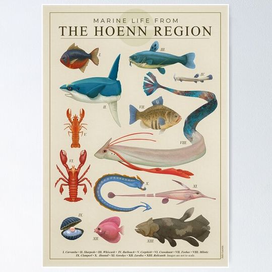 Discover Marine Life from Hoenn Premium Matte Vertical Poster