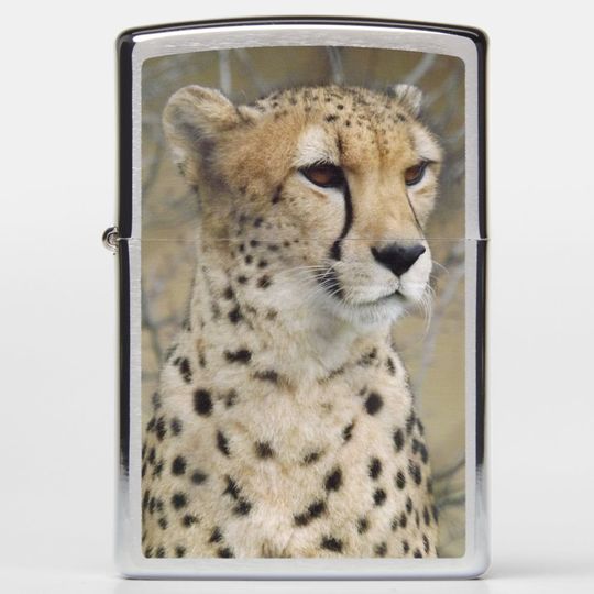 Discover Zippo Cheetah Pocket Lighter Chrome