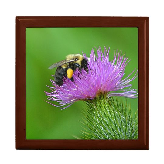 Discover Bee and Thistle Wooden Jewelry Keepsake Boxes, Gift for Mom, Gift for Her