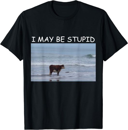 Discover I Maybe Stupid Funny Meme T-Shirt
