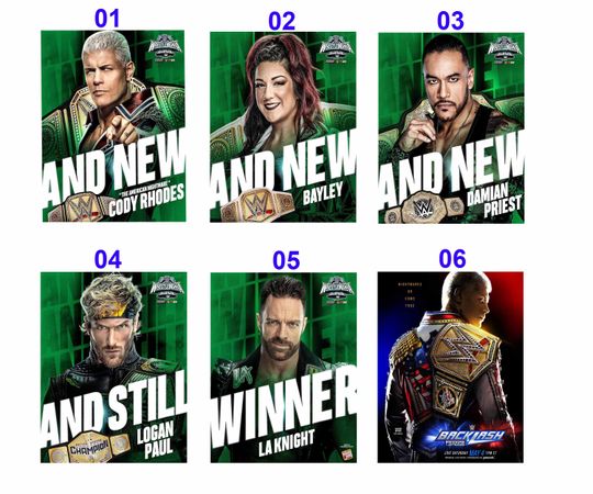 Discover American Nightmare Backlash Cody Rhodes and Baley 2024 Poster