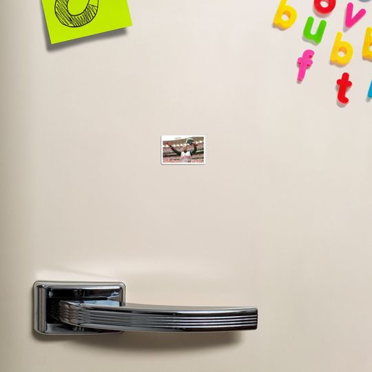 Discover Ken Griffey Jr. 500th Home Run Magnet