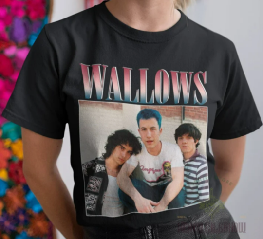 Discover Wallows Model World Tour 2024 Fan Shirt