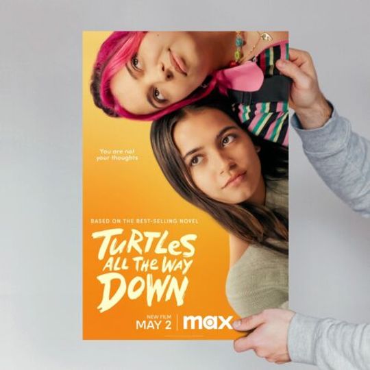 Discover TURTLES ALL THE WAY DOWN 2024 Movie Poster