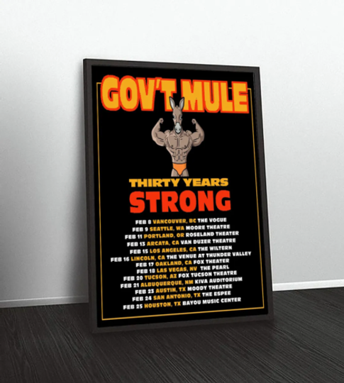 Discover Gov’T Mule Thirty Years Strong Tour 2024 Poster Gift Fans