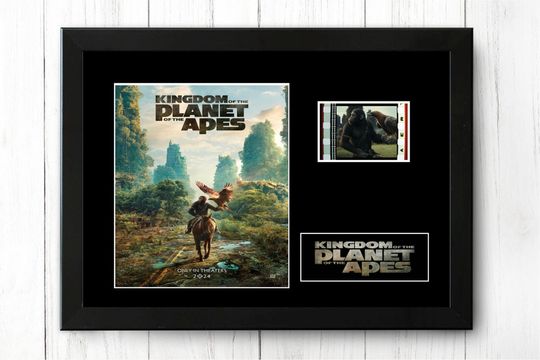 Discover Kingdom of the Planet of the Apes Poster