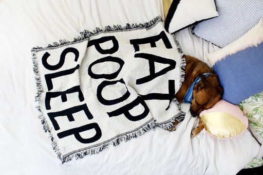 Discover EAT POOP SLEEP Mini Throw Blanket - Black and White Cotton Blanket