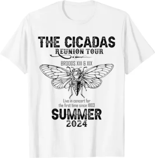 Discover The cicadas reunion tour Broods XIII and XIX Summer 2024 T-Shirt
