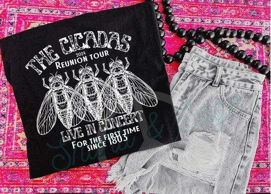 Discover The Cicadas reunion tour live in concert