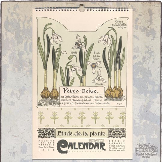 Discover 2024 Calendar Plant Illustrations, Maurice P. Verneuil
