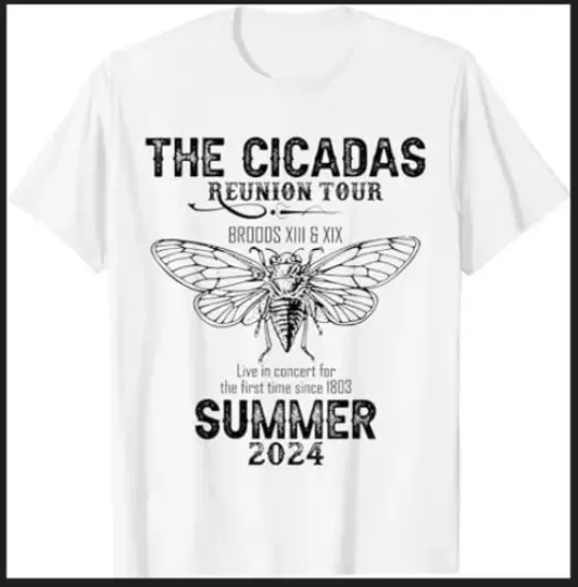 Discover The cicadas reunion tour Broods XIII and XIX Summer 2024 T-Shirt