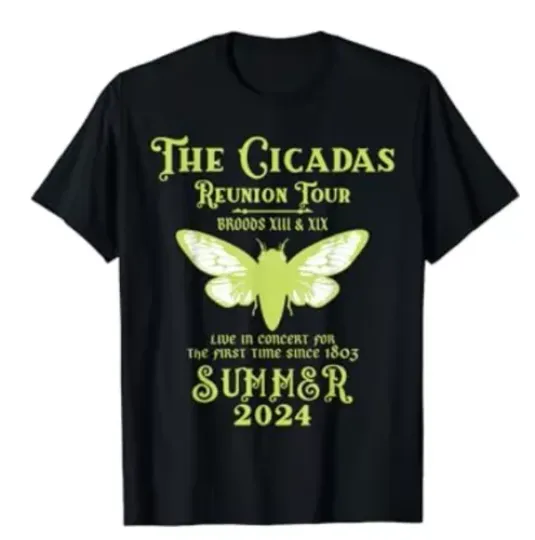 Discover The Cicada Reunion U.S Tour 2024 Cicada Concert Fest Lover T-Shirt
