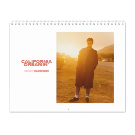 Discover Brandon Flynn Vol.3 - 2024 Wall Calendar