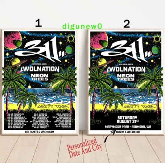 Discover Custom 311 Band the Unity Tour 2024 Poster