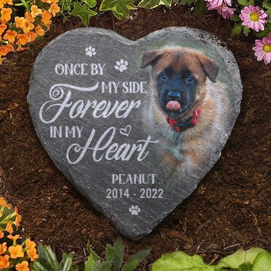 Discover Pet Memorial Gifts for Remembering Lost Pets