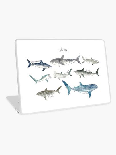 Discover Sharks | Laptop Skin