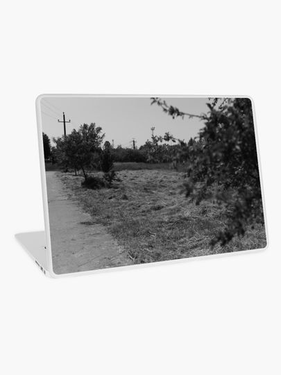 Discover summer heat, mowed grass | Laptop Skin