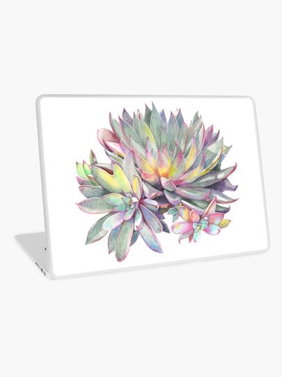 Discover Succulent #2 | Laptop Skin