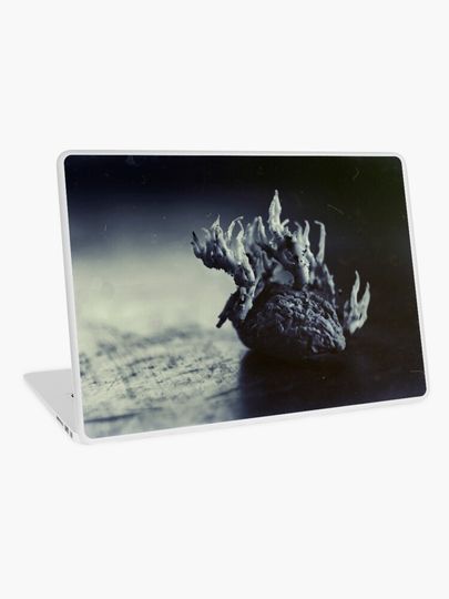 Discover Bad Potato | Laptop Skin