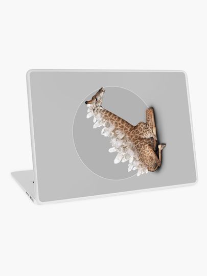 Discover orenda III | Laptop Skin