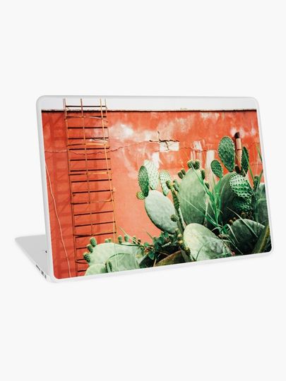 Discover Closeup on Cacti Growing in Front of Shabby Red Wall Shot on Porta 400 | Laptop Skin