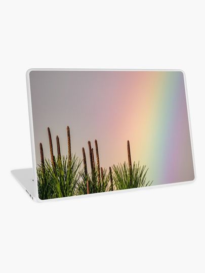Discover Spectators | Laptop Skin