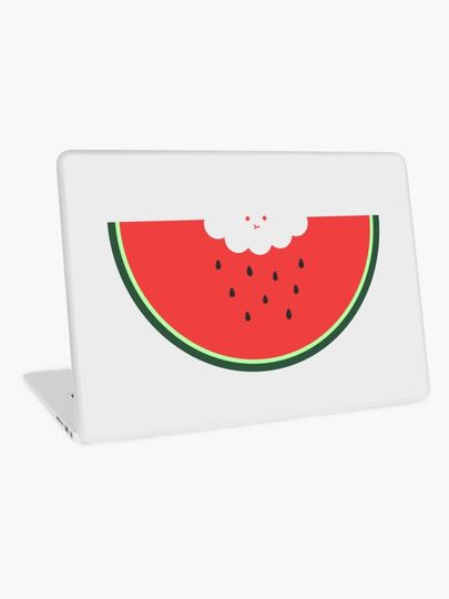 Discover Water Melon | Laptop Skin