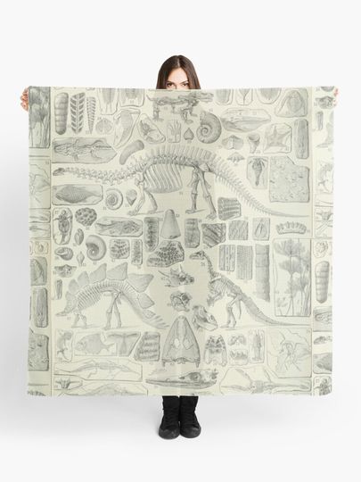 Discover Fossil Chart | Scarf