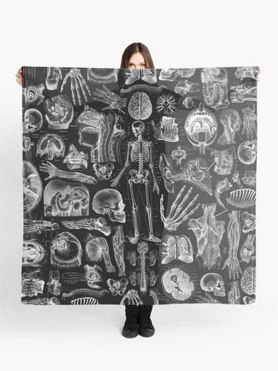 Discover Human Anatomy Black Print | Scarf