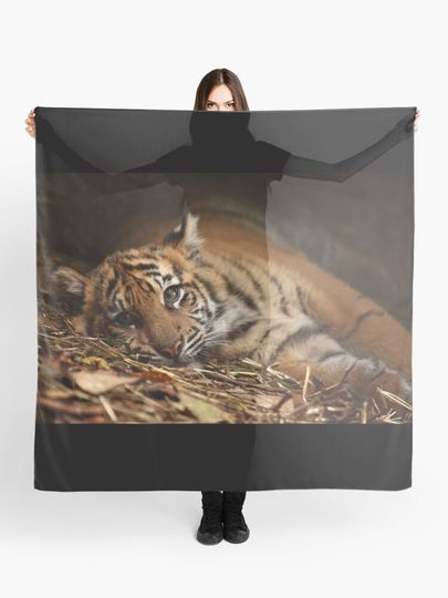 Discover Baby Tiger - Model | Scarf