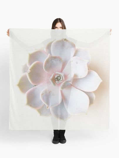 Discover Pink Succulent II | Scarf
