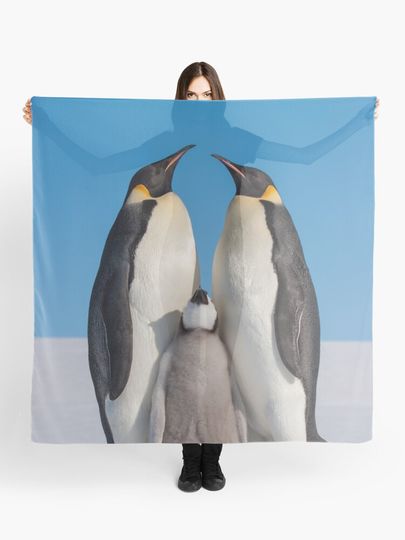 Discover Emperor Penguins and Chick - Snow Hill Island | Scarf