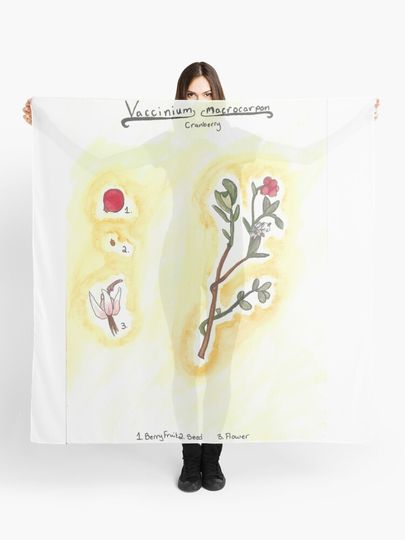Discover Vaccinium macrocarpon (Cranberry) | Scarf