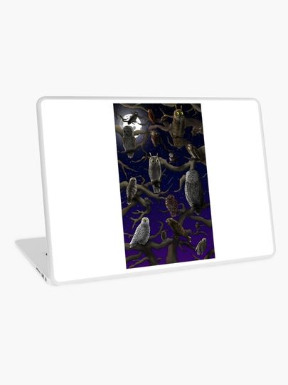 Discover owls | Laptop Skin