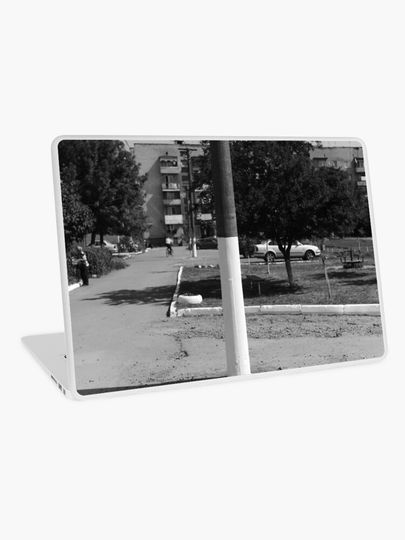 Discover clear central pillar | Laptop Skin
