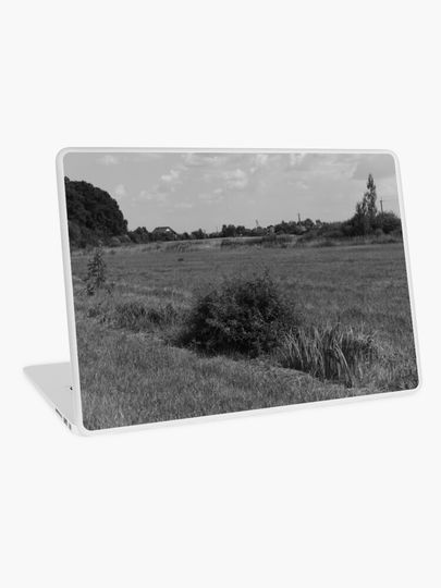 Discover Summer day, field, clouds | Laptop Skin