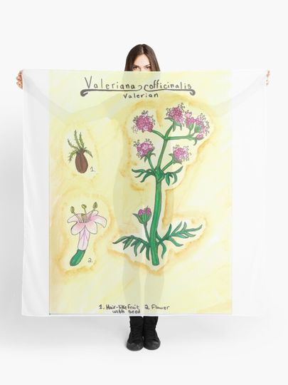 Discover Valeriana officinalis (Valerian) | Scarf