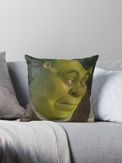 Discover shrek Pillow