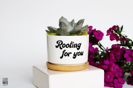 Discover Rooting For You | Thinking of You | Congrats | New Job | Promotion | Get Well Soon | Feel Better