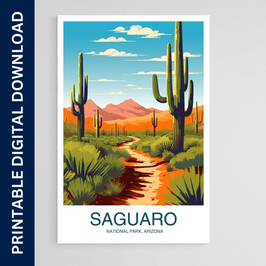 Discover Saguaro National Park Poster, National Park Print