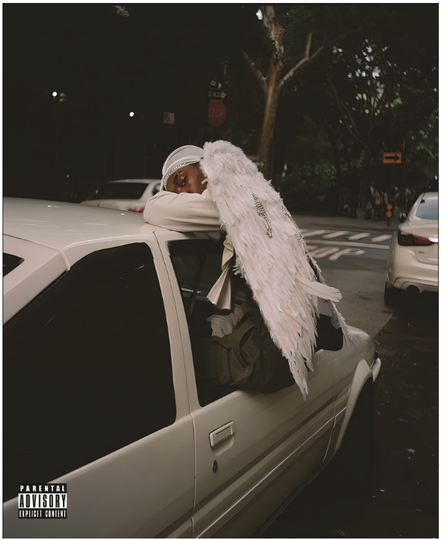 Discover Blood Orange - Negro Swan Poster Premium Matte Vertical Poster