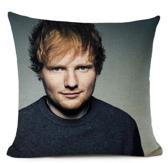 Discover Ed Shee Pillow