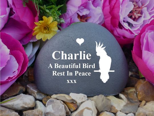 Discover Pet Memorial - Small Pebble (Stone Effect) - Personalized  - Various Bird Designs