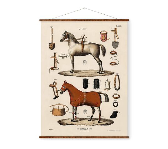 Discover Horse and Jockey Illustration Antique Horseback Riding Equipment  Canvas Scroll