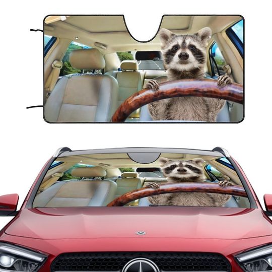 Discover Cute Animal Car Sun, Cartoon Car Sun