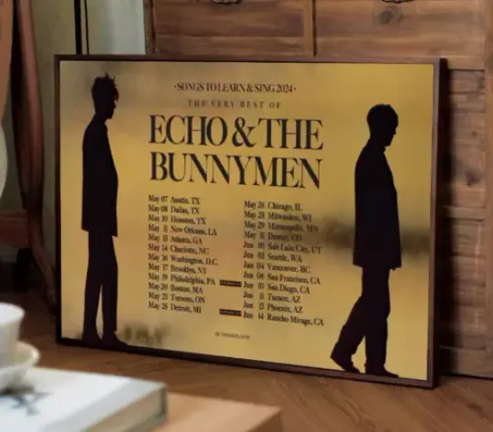 Discover Echo & The Bunnymen N American 2024 Tour Poster