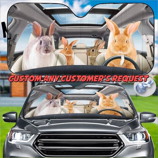 Discover Rabbit Car Sun Shade