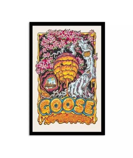 Discover Goose Band Tour at Forest Hills Stadium in NYC on June 29 2024 poster